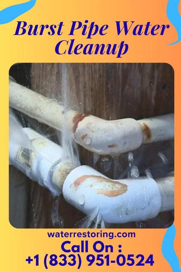 Burst Pipe Water Cleanup in Mount Carbon, PA