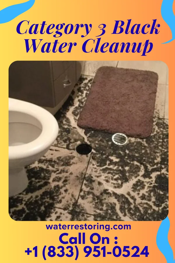 Category 3 Black Water Cleanup in Mount Carbon, PA