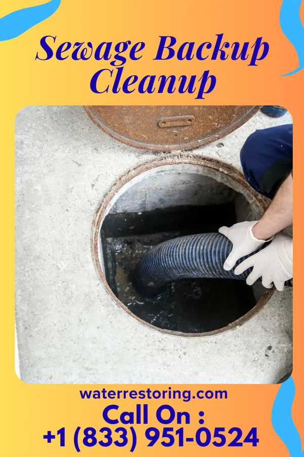 Sewage Backup Cleanup in Mount Carbon, PA