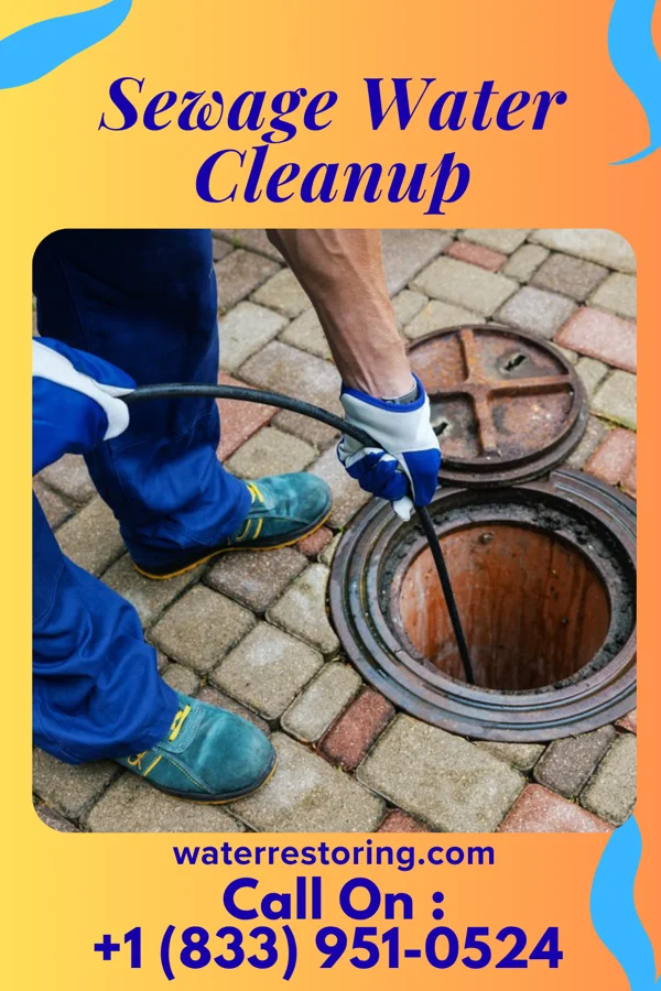 Sewage Water Cleanup in Mount Carbon, PA