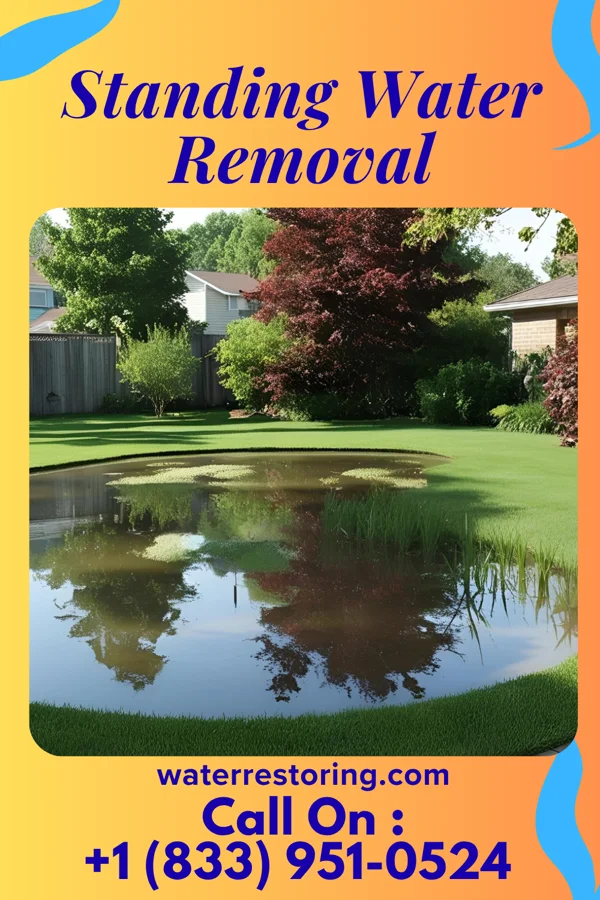 Standing Water Removal in Mount Carbon, PA